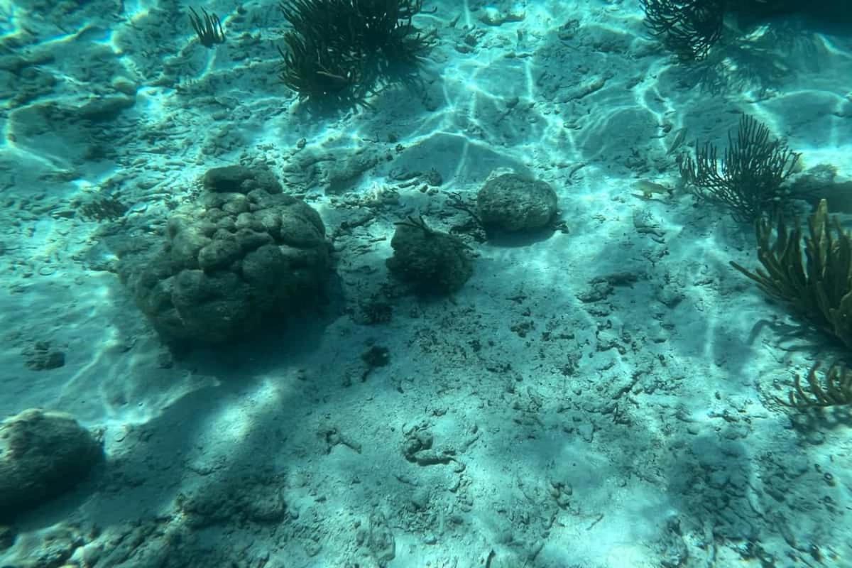 White Sands Cove San Pedro  Luaran gambar