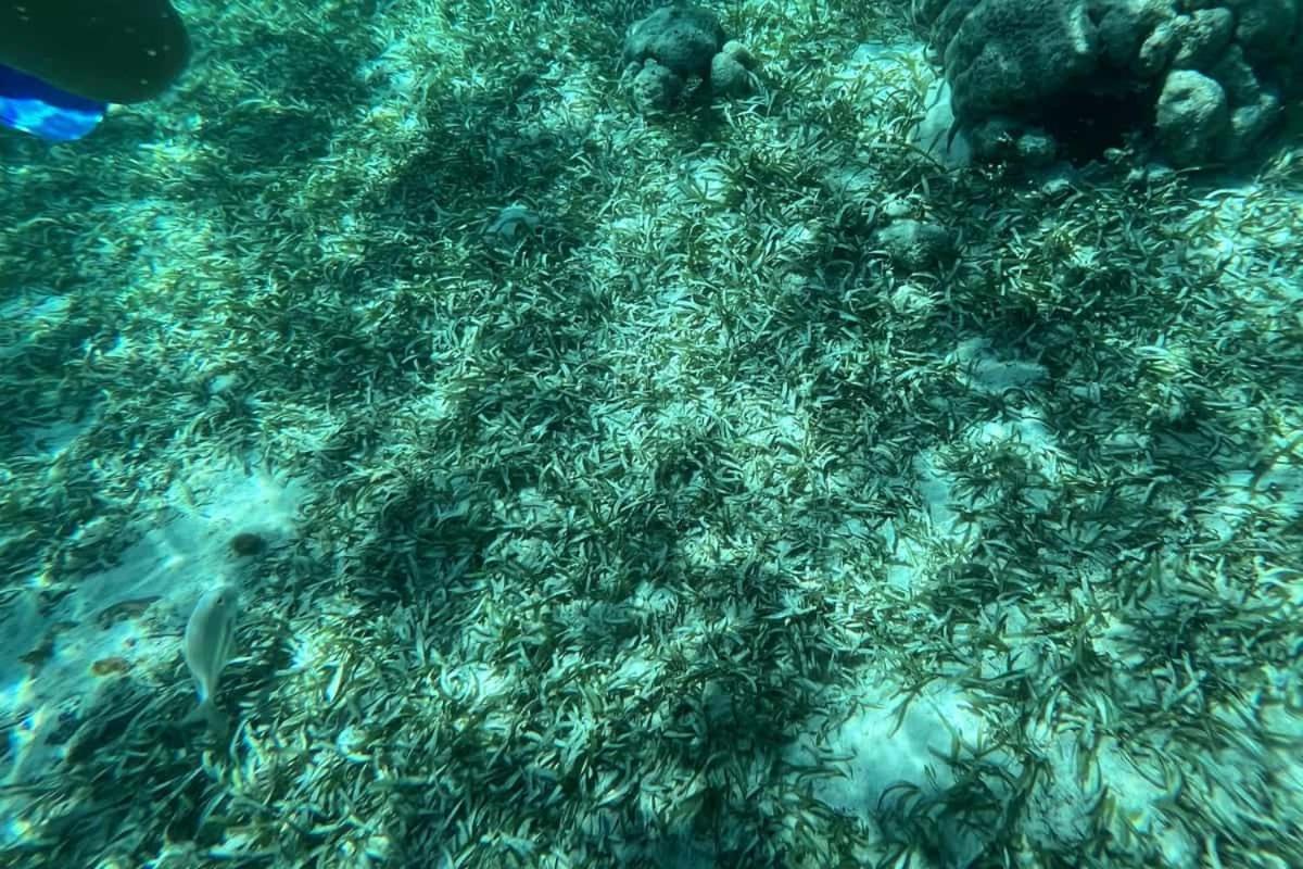 White Sands Cove San Pedro  Luaran gambar