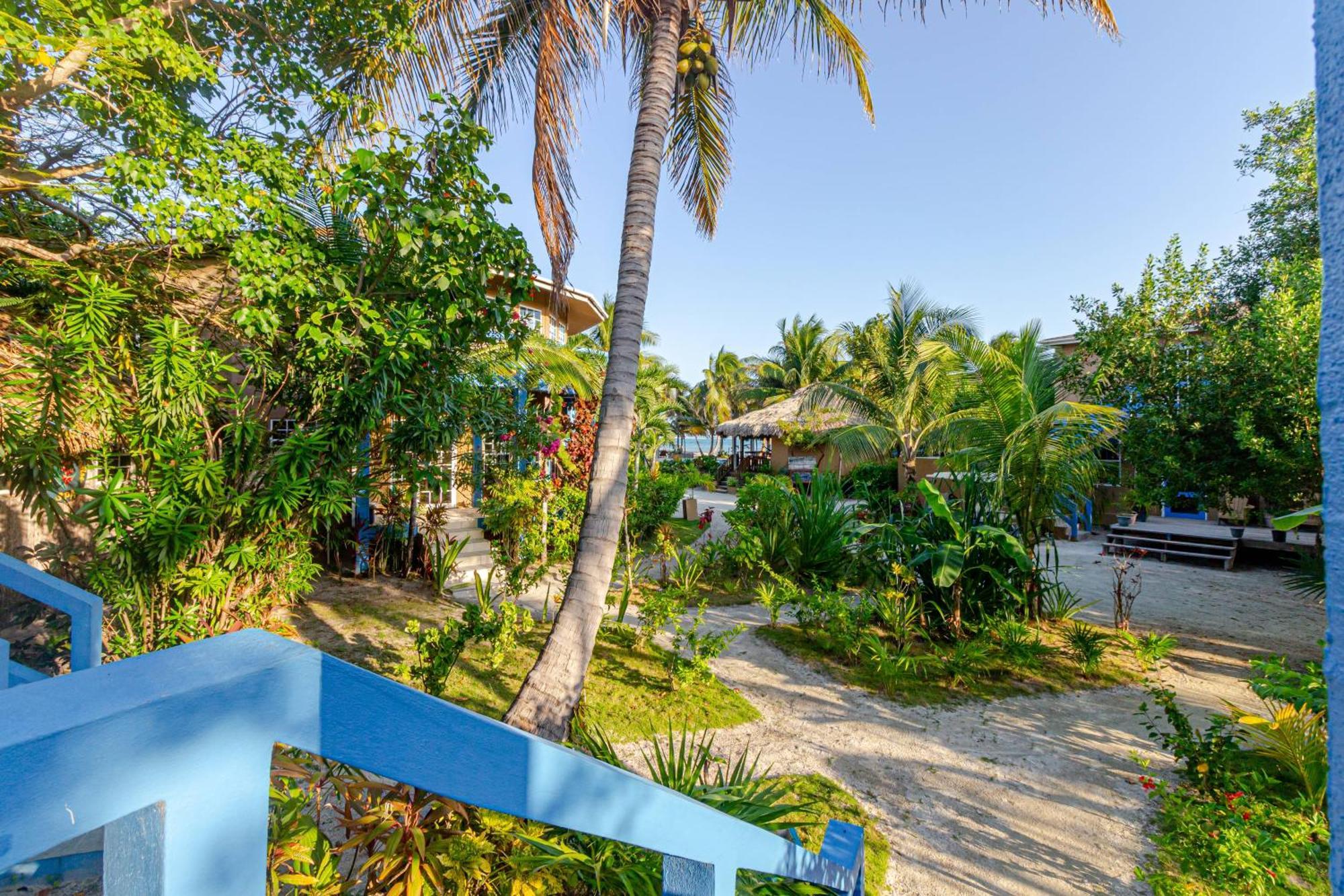 White Sands Cove San Pedro  Bilik gambar